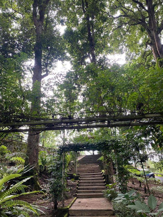 Laksana Rasa Resort チウィデイ エクステリア 写真